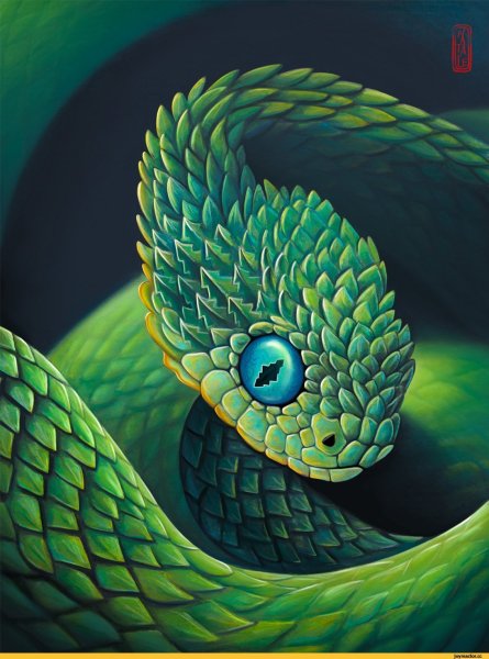 Смарагдовый полоз