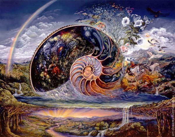 Жозефина Уолл Наутилус