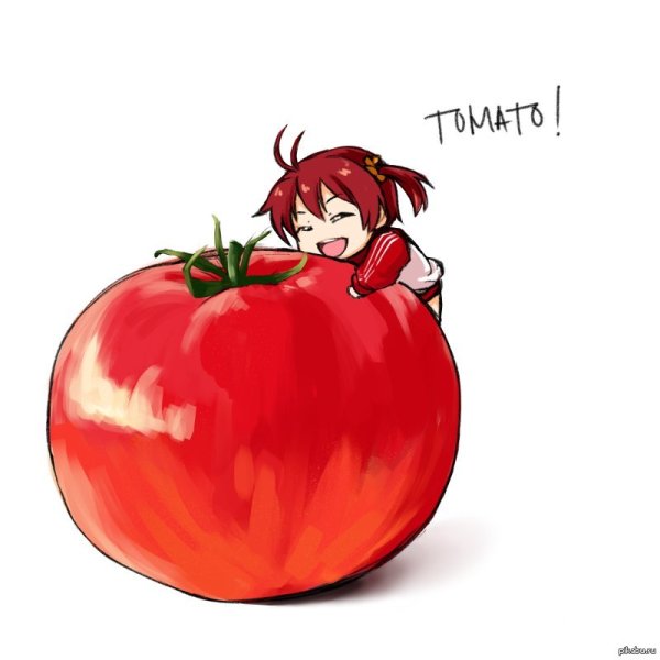 Злой помидор