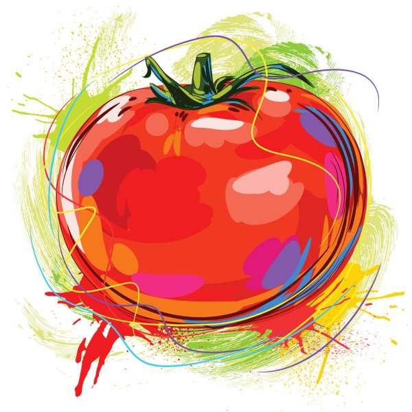 Акварель помидор разрезанный