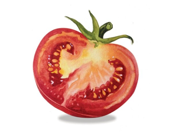Помидор в разрезе