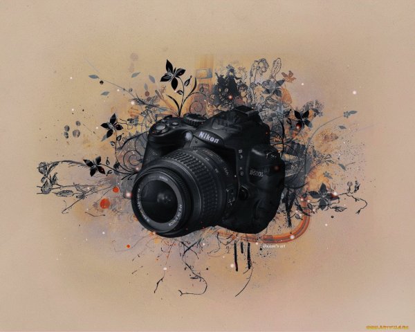 Фотоаппарат картина