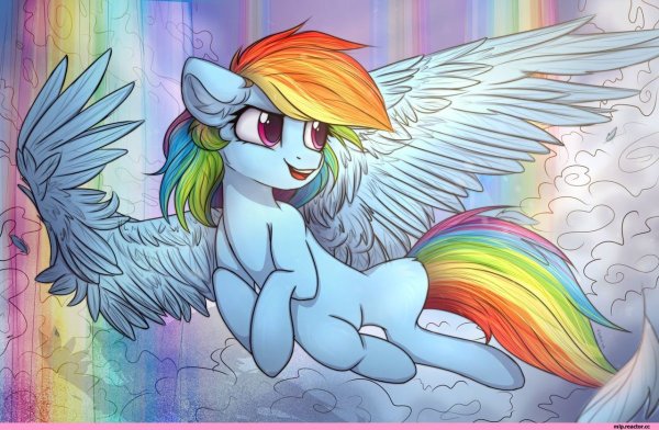 Арты пони Рейнбоу деш