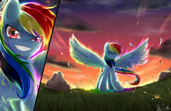 MLP Рейнбоу Дэш