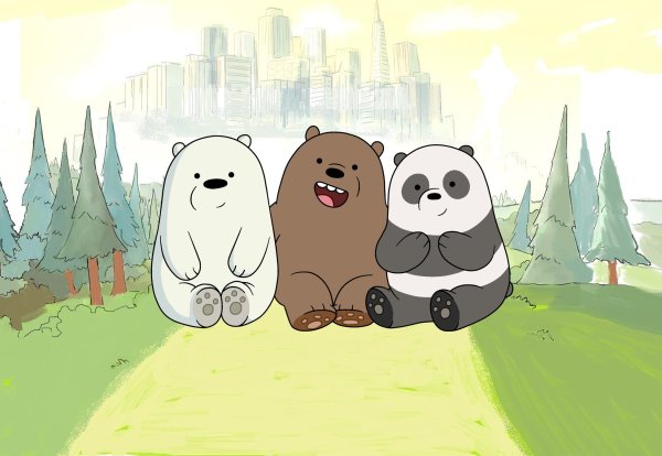 Мы обычные медведи