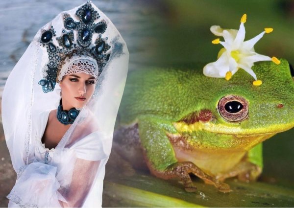 Царевна жаба