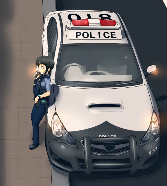 Полиция машина арт