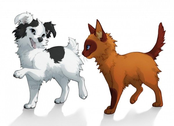 Мультяшные котики и собачки