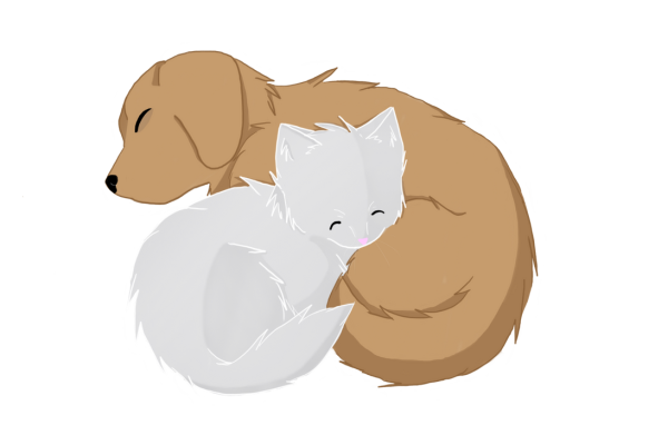 Кот и собака аниме