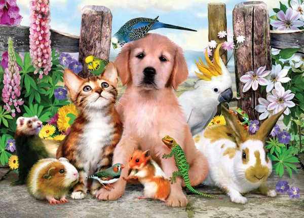Pets and other animals 3 класс Верещагина