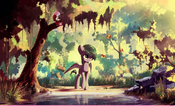 Пони пейзажи