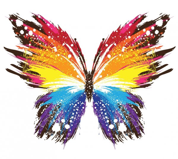 Бабочка рисунок