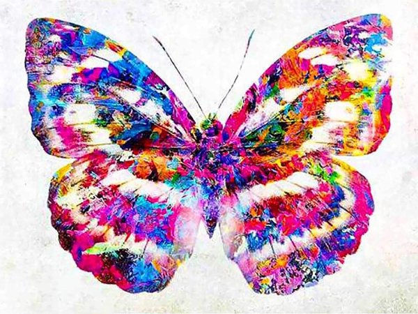 Бабочка из разноцветных красок