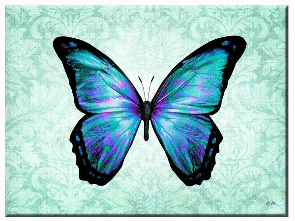 Бабочки арты