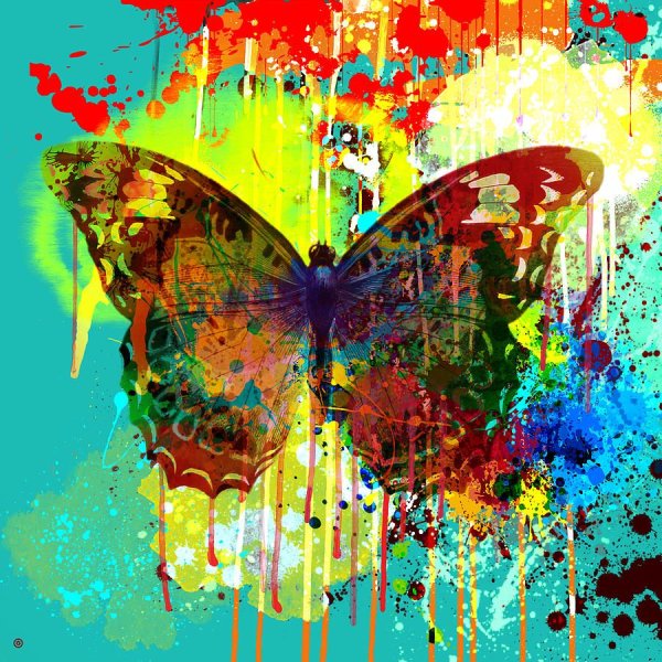 Бабочка абстракционизм