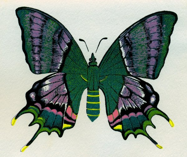 Кислотные бабочки