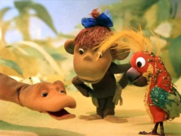 39 Попугаев мультик