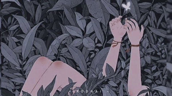 Ромашки Эстетика аниме