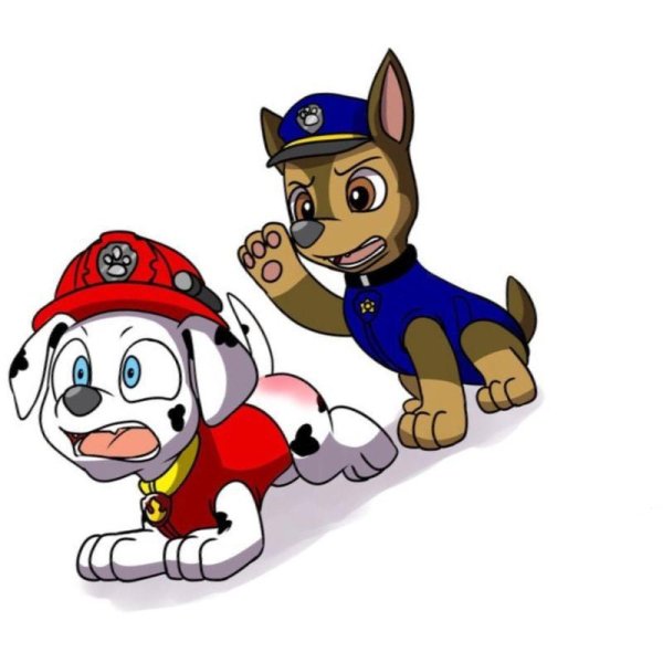 Щенячий патруль гонщик и Маршал