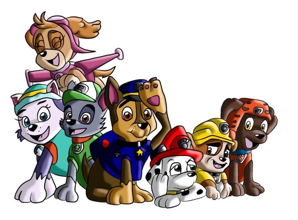 Маршал Рокки щенки