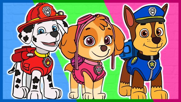 Скай гонщик Маршал