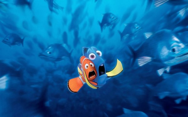 Рыбка дори Капитан Немо