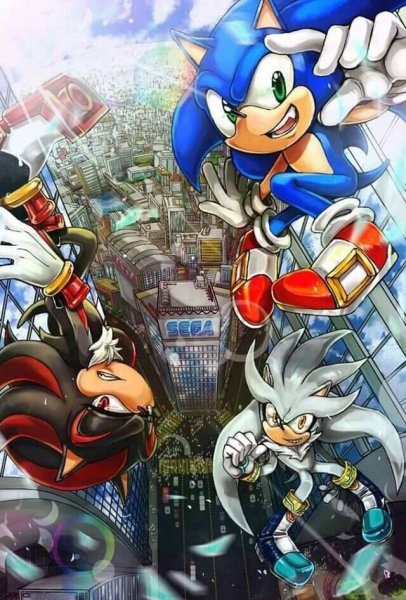 Ёж Шедоу и Сильвер