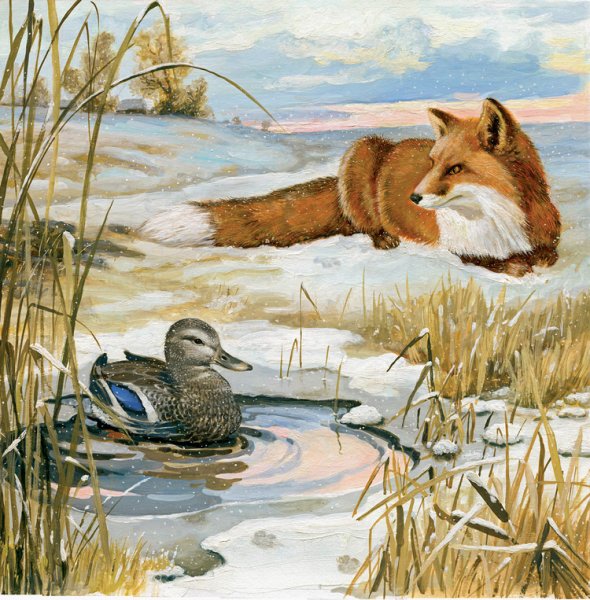 Мамин Сибиряк серая шейка