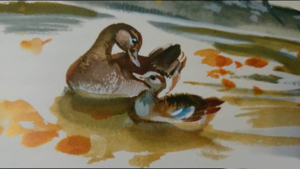 Мамин Сибиряк серая шейка иллюстрации к сказке