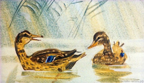 Серая шейка, мамин-Сибиряк д.