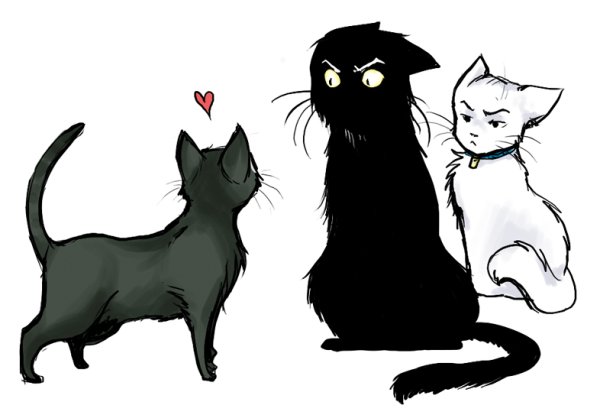 Коты Воители и Гарри Поттер