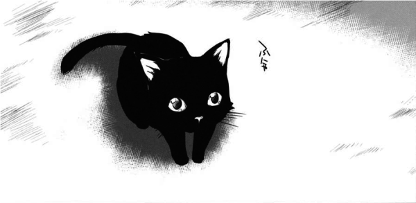 Аниме котики черно белые