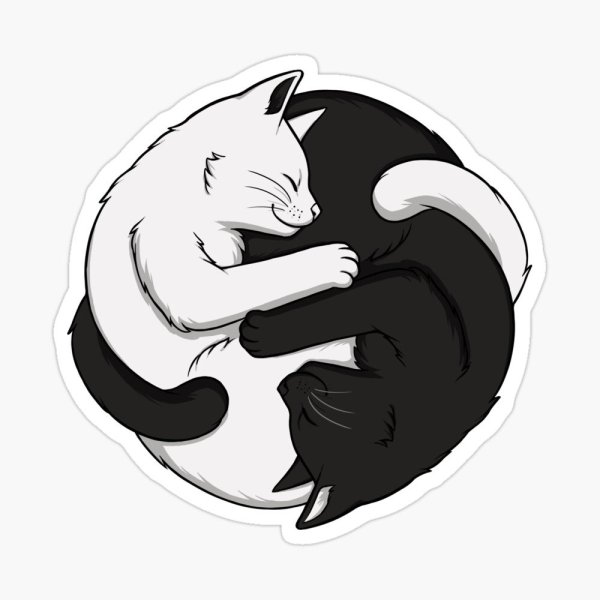 Коты Воители Инь Янь