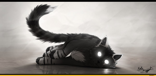 Аниме котики