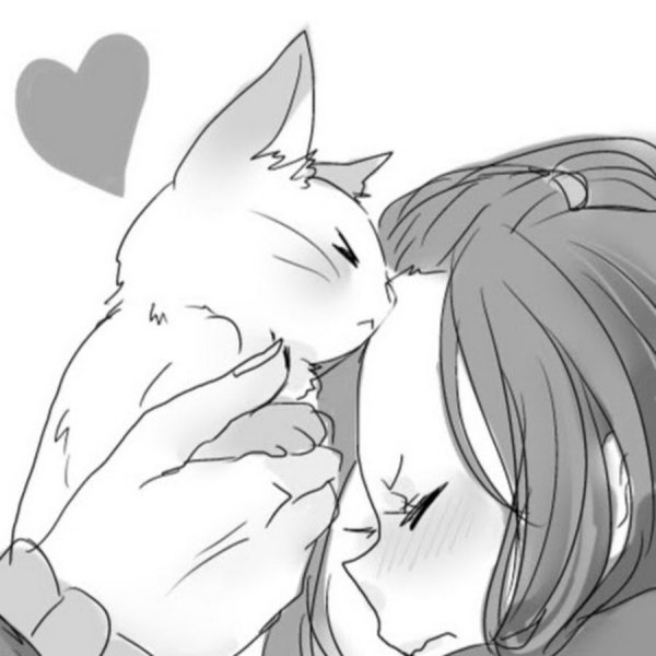 Котики чб аниме