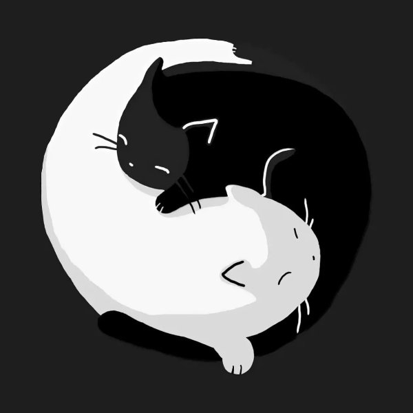 Коты Инь и Янь картина