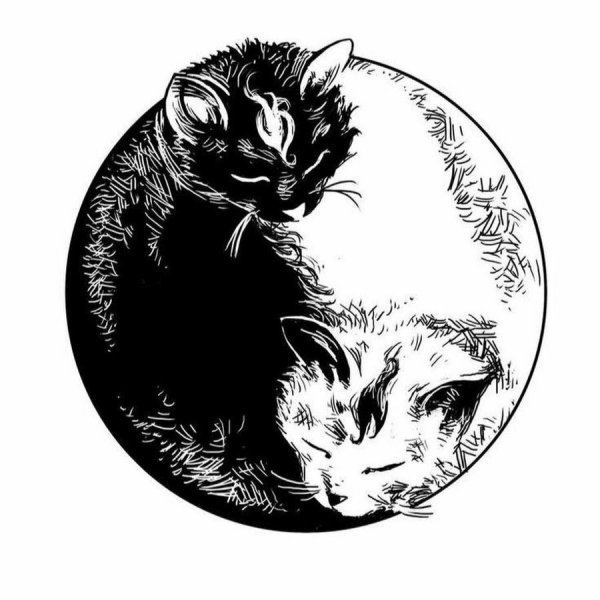 Тату черный кот эскизы