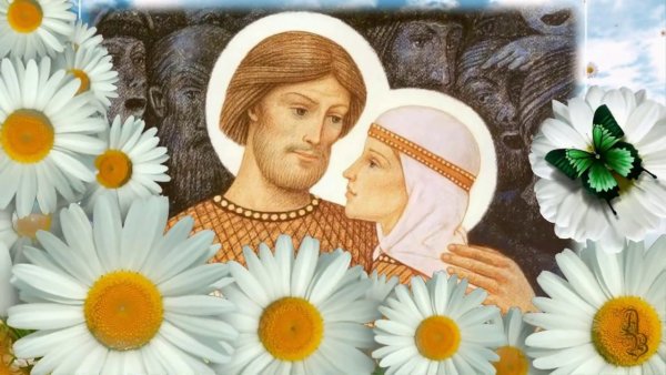 Петр и Феврония ромашки