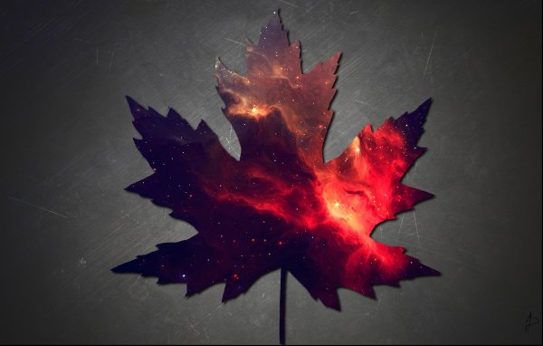 Кленовый лист арт