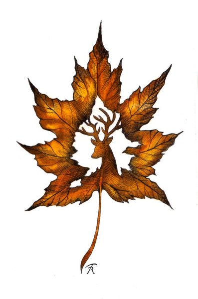 Листья арты