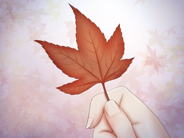 Красивые листья арт