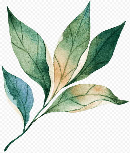 Листья акварель