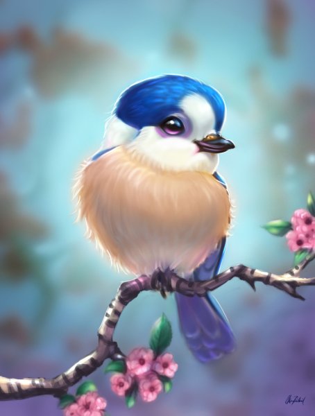 Красивые птицы