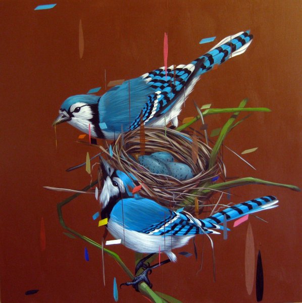 Frank Mittlestadt / птицы, живопись,