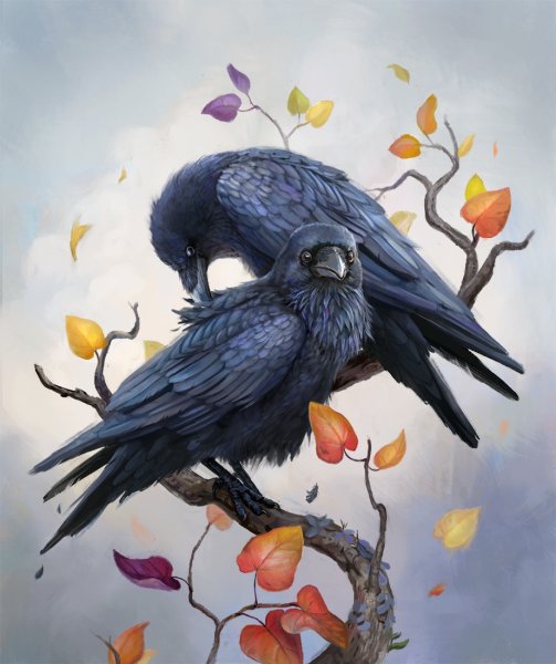 Ворон на ветке