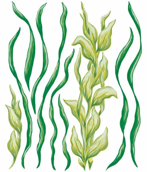 Водоросли орнамент