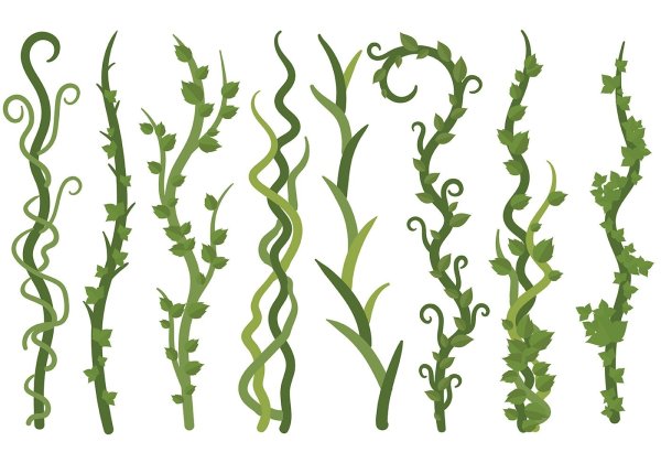 Стилизованные водоросли