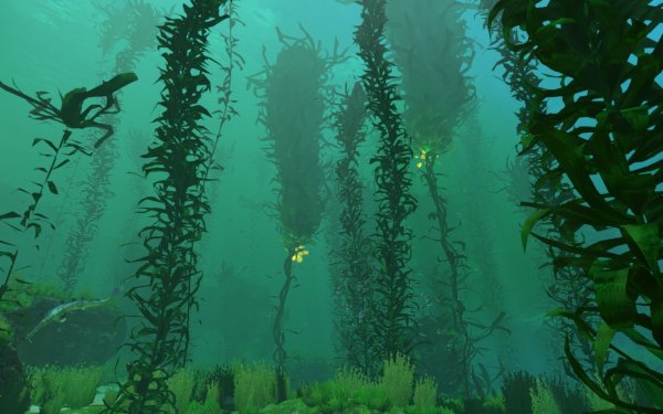 Сабнатика лес водорослей
