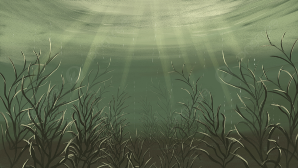 Дно реки арт