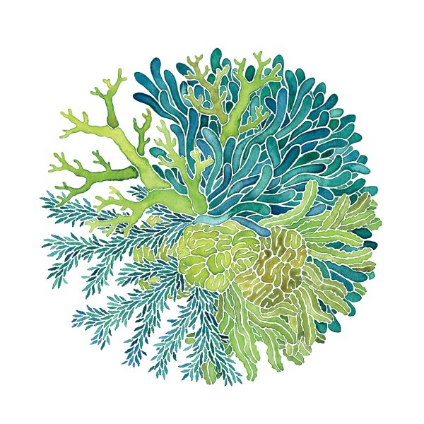 Стилизованные водоросли